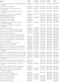 Image result for Antherotoma naudinii