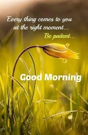 Majda Pal Google Morning Quotes Images Good Day Quotes Good Morning Images