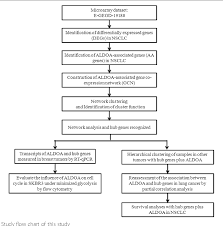 Figure 1 From Elevated Transcriptional Levels Of Aldolase A