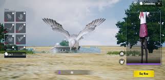 How to get bird in pubg mobile 0.12 | get companion with max rank this companion added new in pubg mobile 0.12. New Companion In Pubg Mobile 0 12 0 Update Pubgmobile