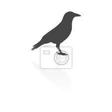 Buy 'the raven and the cat' by morjer as a poster. Krahe Raven Vektor Silhouette Symbol Fototapete Fototapeten Flugel Raven Krahen Myloview De