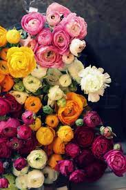 Sweet Eventide By Jessica Nichols Poppytalk Spring Colours Week Wednesday Pi Beautiful Flowers Pretty Flowers Flower Arrangements