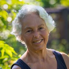 Amazon.ca: Allyson Levy: books, biography, latest update