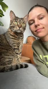 Suki the Brown Tabby Cat Showing Love and Affection