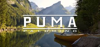 Puma Fifth Wheels and Travel Trailers - Palomino RV