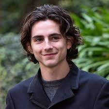 What Product Can Tame My Poofy Wavy Hair To Achieve Something Similar To Timothee Chalamets Hairstyle Wavy Hair Men Long Hair Styles Men Haircuts For Wavy Hair