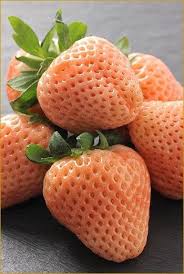 Rckeyru Follow Me A Href Https Ru Pinterest Com Rckeyru Boards Click Here To Follow Rckeyru A Fruit And Veg Fruit Beautiful Fruits