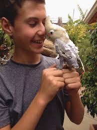 Central Coast Saviors