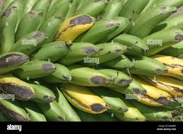 Image result for matooke