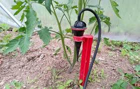 Maybe you would like to learn more about one of these? L Arrosage Goutte A Goutte Par Gravite Iriso