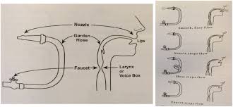 Check spelling or type a new query. Net Findings Analogies For Children That S The Way I Talk