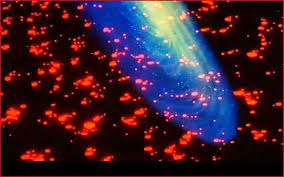 Dragon Ball Z Power Blog Buu S Power Destroys Kid Buu Destroys Galaxy