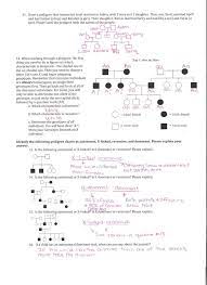 Maybe you would like to learn more about one of these? Genetics Pedigree Worksheet Answer Key Biology Worksheet Middle School Genetics Middle Sch In 2021 Biology Worksheet Middle School Lesson Plans Word Problem Worksheets