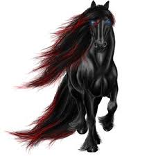 Image result for howrse rare apple coats