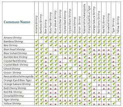 Freshwater Shrimp Compatibility Chart Fish Chart Compatibility Chart Red Cherry Shrimp