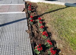 Слава отцу и сыну и святому духу, и ныне и присно и во веки веков. Kabala Kleboyn Mexri Kai Loyloydia Apo Parteria Photos To Pontiki