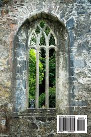 Check out our ireland ideas selection for the very best in unique or custom, handmade pieces from our shops. Window With Stone Arch At Muckross Ruin In Ireland Journal 150 Page Lined Notebook Diary Amazon Co Uk Image Cool 9781717314505 Books