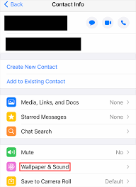 And, of course, it livens up whatsapp from the drab (but delightful) grays you might otherwise enjoy. Whatsapp How To Change The Wallpaper For Each Chat