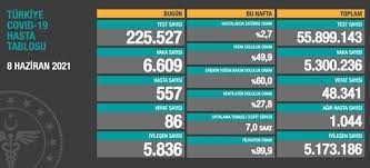 Son 24 saatte yapılan 221 bin 52 testte, 5 bin 294 vaka ile 429 koronavirüs hastası tespit edildi. 8 Haziran 2021 Corona Virus Tablosu 86 Can Kaybi 6 Bin 609 Yeni Vaka Ntv