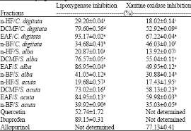 Image result for Cienfuegosia digitata