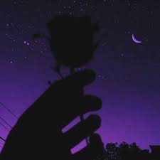 I used to rule the world / seas would rise when i gave the word / now in the morning, i sleep alone / sweep the streets i used to own / i used to roll the dice / feel the fear in Sad Wallpaper Sad Neon Purple Aesthetic Novocom Top