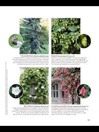 Maybe you would like to learn more about one of these? Pin By Christina Norris On My Black Thumb Landscaping Thoughts Fast Growing Vines Garden Vines Garden Girls