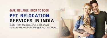Check spelling or type a new query. Pet Relocation Services In India Domestic International Pet Relocation