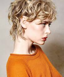 Heidi Howes (heidihowes)