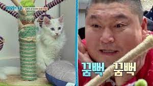 한국은 과연 사기 공화국이 아닐까? ê°•í˜¸ë™ ë¶€ë‹´ ëˆˆì¸ì‚¬ì— ê³ ì–'ì´ ì¤„í–‰ëž' êµê° ì‹¤íŒ¨ ë§ˆë¦¬ì™€ ë‚˜ 3íšŒ Youtube