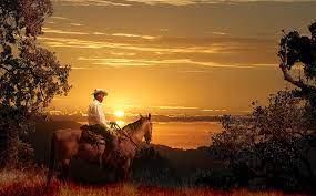 The setting sun is symbolic of the end of the story. A Cowboy Riding On His Horse Into A Yellow Sunset Digital Art By Peter Nowell