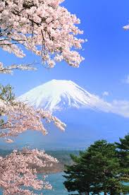 春の香り 写真共有サイト photohito 富士山 桜 ランダム写真 美しい風景写真
