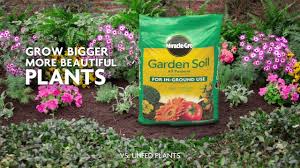 How To Use Miracle Gro All Purpose Garden Soil For In Ground Gardening Youtube