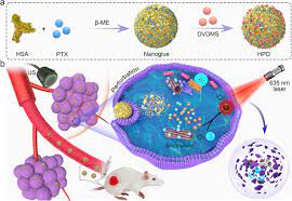 Ultrasound-Enhanced Chemo-Photodynamic Combination Therapy by Using Albumin  “Nanoglue”-Based Nanotheranostics | ACS Nano