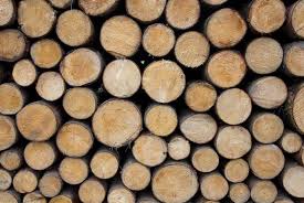 Types Of Firewood A Simple Guide To Burning The Right Fuel
