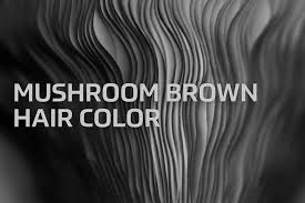 Items 1 to 24 of 120 total. Mushroom Brown Hair Color Formula Redken Shades Eq