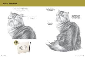 This is a drawing tutorial featuring fundamental skills for drawing quickly and effectively. Drawing Cats Kittens Learn To Draw Step By Step How To Draw Paint Smith Cindy Stacey Nolon Tavonatti Mia 9781633225787 Amazon Com Books
