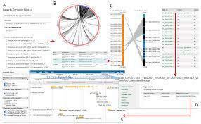 Image result for Gossypioides kirkii