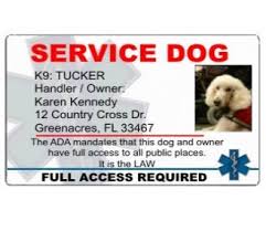 The rabies vaccination date must be current to purchase a dog license. Service Dog Id Tags For Working Dogs Id Badge For Your Service Dog Service Dogs Working Dogs Service Dog Vests