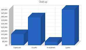 Electronics Retailer Business Plan Company Summary