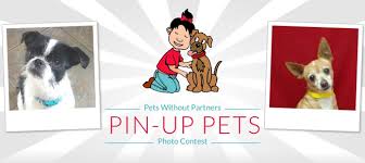 Pets without partners web site at rescuegroups. Prizes Pets Without Partners Pets Without Partners Pin Up Pets Calendar Contest