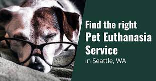 For many people, a pet becomes part of their family, much like a human child. Find The Right Pet Euthanasia Service In Seattle Wa Montgomery Mobile Blog