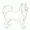 You can find these fantastic animals here. 1