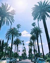 Okay La Stop Showing Off Morning Palmtrees La Fotos Legais Lugares Fotos