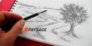 Les proportions seront alors plus facile à dessiner. Voici Un Exercice Qui Sera Particulierement Utile Aux Dessinateurs Aimant La Nature Nous Allons Voir Ensembl Paysage Au Crayon Dessin Paysage Comment Dessiner