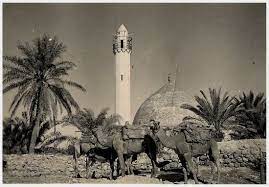Jenin Ottoman Era جامع جنين الكبير في العغد العثماني Palestine History Palestine Old Pictures