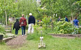 Invite guest speakers to give presentations. Dear Modern Farmer How Do I Start Up A Community Garden Modern Farmer