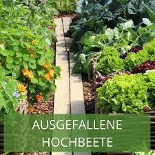Tischbeet Oder Kistenbeet Ein Hochbeet Mal Anders Hochbeet Bepflanzung Garten