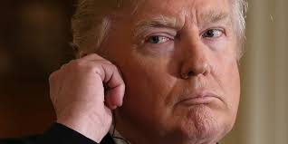 Melissa Lashley (@lashley_melissa)