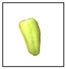 The king arthur sweet pepper plant is known for its sweetness. Gypsy Pepper Buy Live Pepper Plants Gypsy Pepper Plant Online