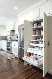 9 Of The Moment Kitchen Cabinet Hardware Ideas In 2020 Kitchen Cabinet Design Kitchen Interior Diy Kitchen Renovation
